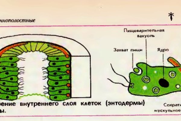 Как вернуть аккаунт на кракене